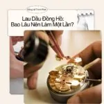 Lau Dầu Đồng Hồ Bao Lâu Nên Làm Một Lần -compressed